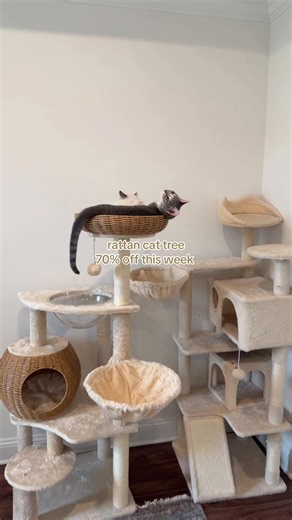 Shop the Best Rattan Cat Tree on Sale Now