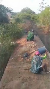 1.5M views · 7.4K reactions | The Trackless Train of Nigeria’s Jungles #Nigeria #TracklessTrain #SustainableHomes | Fact Mentor | Facebook