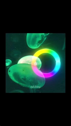 Jellyfish 🪼 / color wheel trend