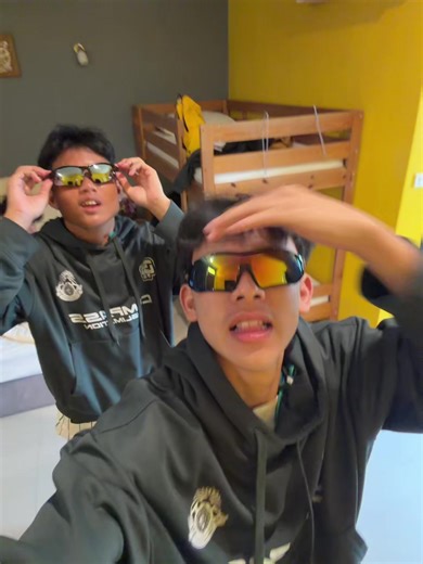 ประวัติชอชินหมอนทองที่น่าสนใจ