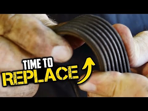 Squealing Belt When You Start Car?! Replace Serpentine Drive Belt Toyota Sienna Tacoma RAV4