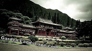 Garden Practice: Plants From The Monastery Garden - My Beautiful Garden | 2025