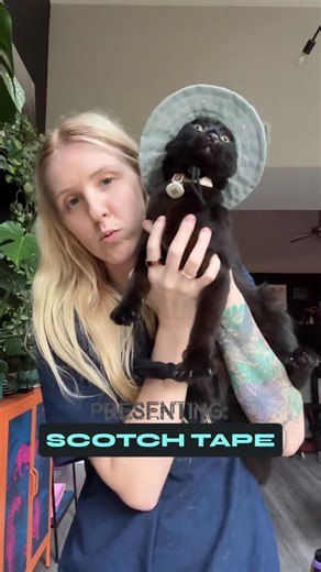 Scotch is really giving ultimate bird watcher with his hat. | Deejandthecats