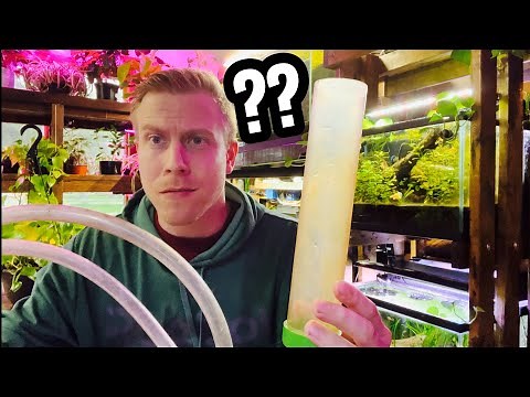 HOW TO: Aquarium Water Change the EASY WAY