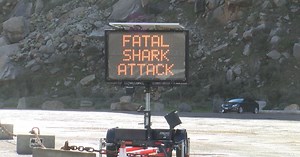 Local scientists, students developing program to track sharks