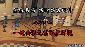 【星痕共鸣】 实时战斗DPS统计显示 绿色安全 客户端 一键安装 傻瓜式操作 感谢开源！