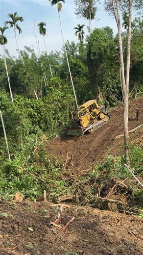 Bulldozer D6R XL Advantages and Disadvantages for Mountain Land Clearing
