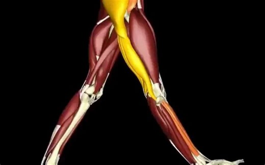 步态分析：了解行走的秘密