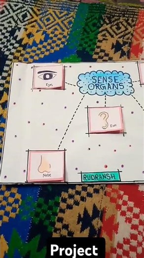 sense organ project for kids 😄