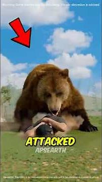 These Animal Attacks Actually Happened… The Last One Will Shock You