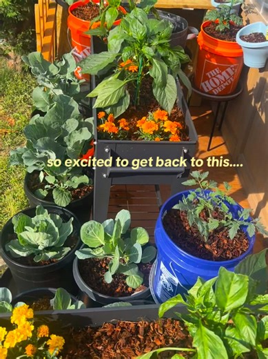 The Vibrant Colors of Spring