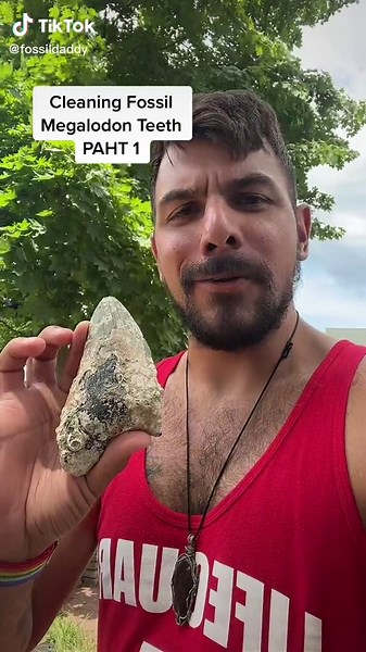 This is how I clean fossil Megalodon caked with barnacle residue. Follow for more!