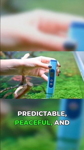 Never Guess Your Water Again #aquariumtips #testing #fishhealth