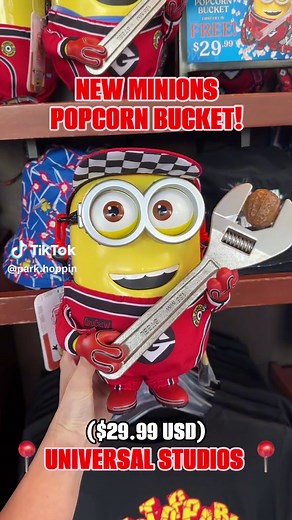 Park Hoppin’ on TikTok