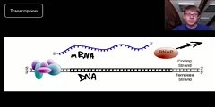 Detailed Structure of DNA and RNA