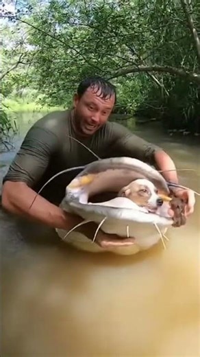 Epic Catfish Battle: Man vs. Giant!