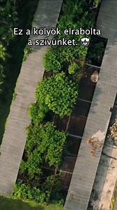 Ez a kölyök elrabolta a szívünket. 😍 | Discovery Channel Magyarország