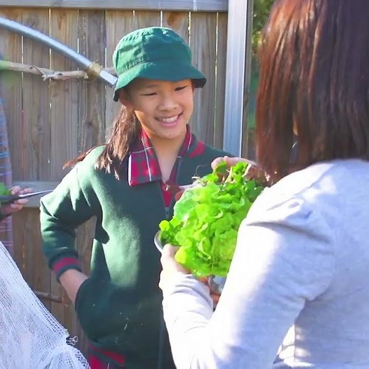 Using Critical Reflection — Trailer