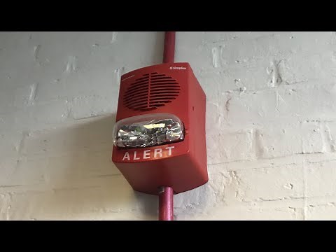Fire Alarm Going off in an MIT building | Simplex Truealert Speaker Strobes
