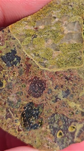 Breccia cut open #rockhounding #beachcombing #Michigan #lapidary #coolrocks #rocks