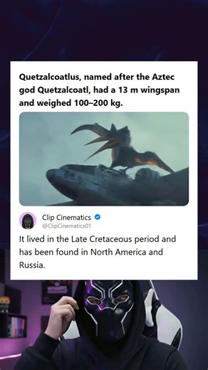 Quetzalcoatlus Had a 13m Wingspan Weighed 100-200kg Lived in Late Cretaceous