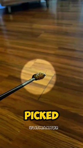 🤯Amazing bug exterminator #trend #shorts #bug #guessinggame