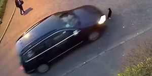 Disturbing moment delivery driver appears to 'deliberately' run over cat