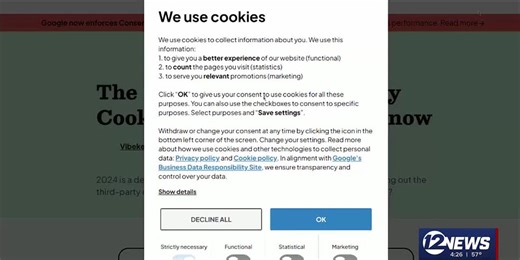 What the Tech? Cookies Explained