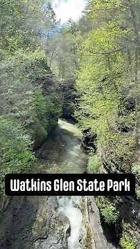 Watkins Glen State Park Hike #hike #watkinsglen #waterfall