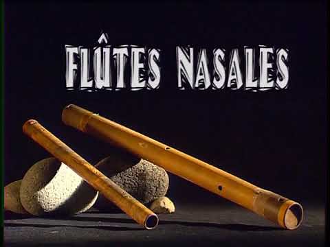 Vivo - Flûte Nasale