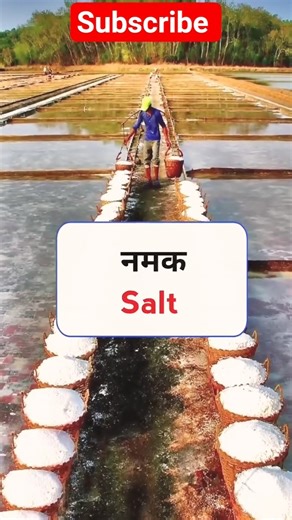 Kitchen Essentials in English – LearnSmartly#gk#gkhindi#trendingb#gkquiz#currentaffairs#virel#shorts