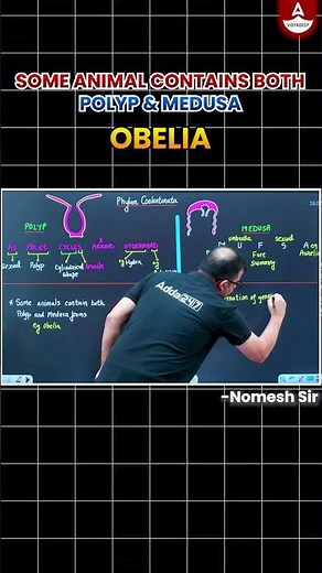 Obelia - Nature's Amazing Cycle | Polyp and Medusa Life Cycle #shorts #marinelife #polyp #medusa