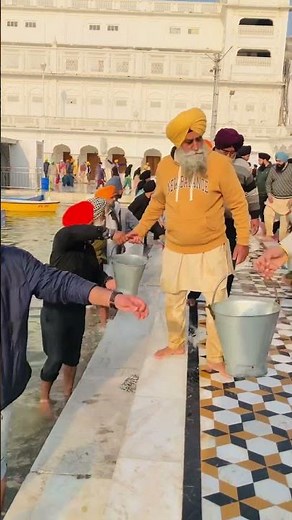 Sewa daily sri darbar sahib ji 16/12/2025 #sridarbarsahiblivetoday #goldentemple