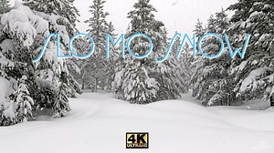 Slo Mo Snow