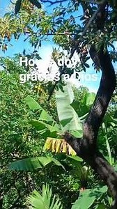 #reflexion mensaje De DIOS #yosoydelos7mil