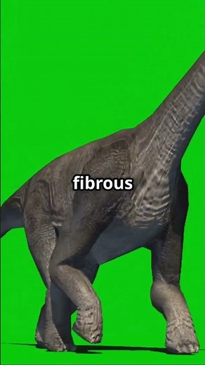 Triceratops: The Armored Three-Horned Dinosaur of the Late Cretaceous! #dinosaur #extinctanimals