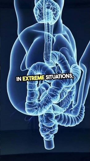 Can Fart Gas Really Explode?! 💨💥 You Won’t Believe This!