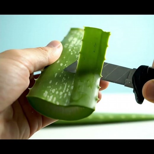 Ultra-Relaxing Aloe Vera Peeling ASMR | Macro POV, Cinematic 8K