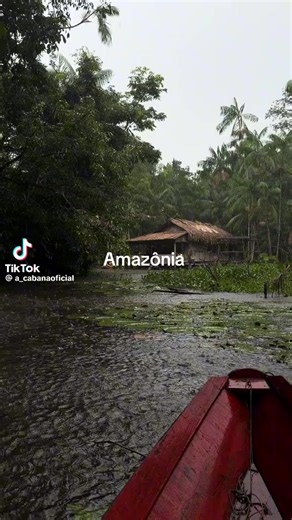 #brasil🇧🇷 #amazonas