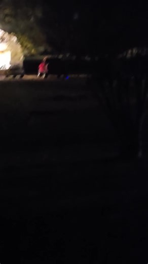 What my dog looks like at night 🌙 😳 | Angela Roberts Griffey