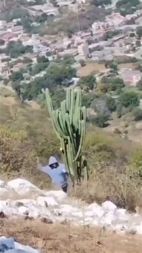 😂😂😂Stupid core #funny #fails #fyp #memes #shorts #usa