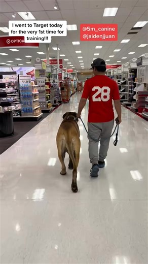 - 7109885075549949227 #target #dogtraining #fyp #trainingday #ItsGr... #CheetosReaperReactions | AD Funny