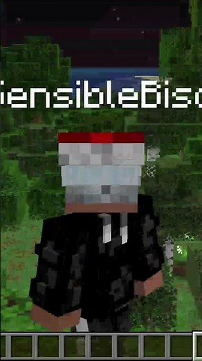 Do A Barrel Roll #minecraft #mods #gaming #cool #fyp #doabarrelroll