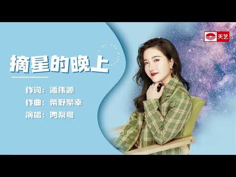 天艺音乐 阿梨粤 Aliyue《摘星的晚上》The Stars Of The Night 动态歌词视频 lyrics