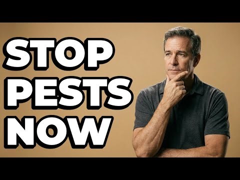 Should I Seal Up Gaps To Stop Pests?