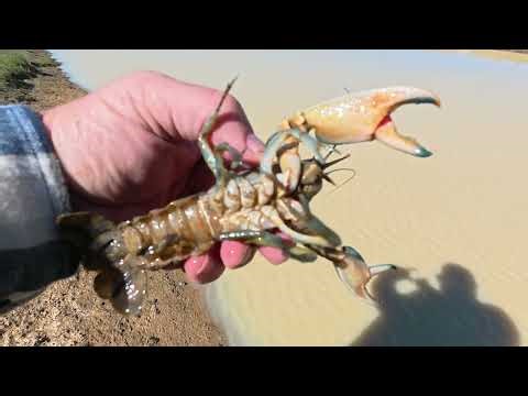 10 Top "robbiefishing" Moments Of 2025