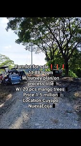 24K views · 132 reactions | Farmlot for sale❗❗❗ Lot area: 11,883...