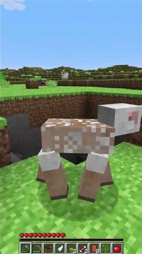 This Minecraft Mod is AMAZING!