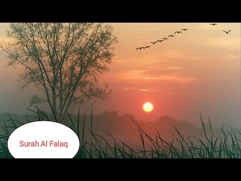 Surah Al Falaq | recited by Ridjaal Ahmed | Animation