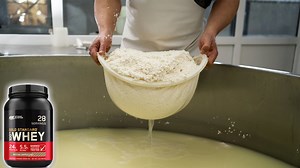 How Whey Protein Is Made: From Milk to Protein Powder in the Factory